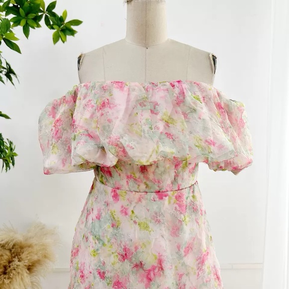 ML MONIQUE LHUILLIER size 2 Off the Shoulder Organza Dress - Picture 4 of 11